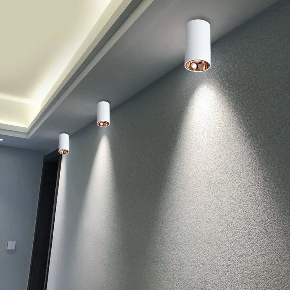 Cylinder Rose Gold Dimmable LED Spotlight  Downlight 5W 10W 15W 20W 30W Ceiling Lamp For Livingroom Kitchen Bedroom Foyer Office